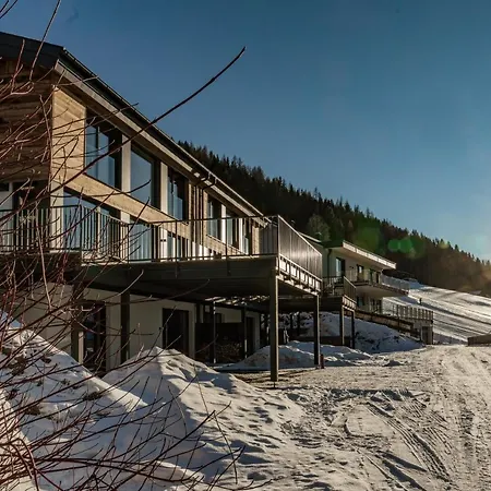 Ferienhaus W - In Out Auf Der Planai Diekt An Der Skipiste By Schladmingurlaub *