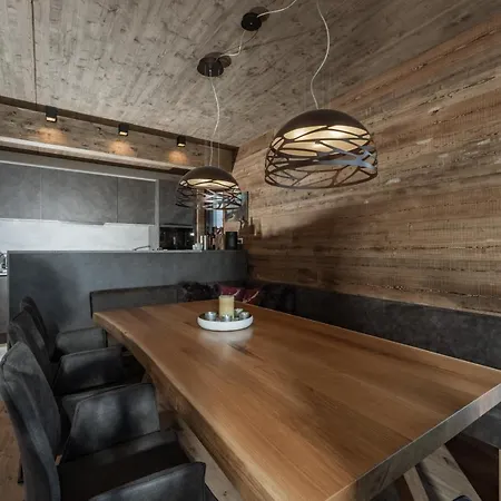 W - In Out Auf Der Planai Diekt An Der Skipiste By Schladmingurlaub Ferienhaus *